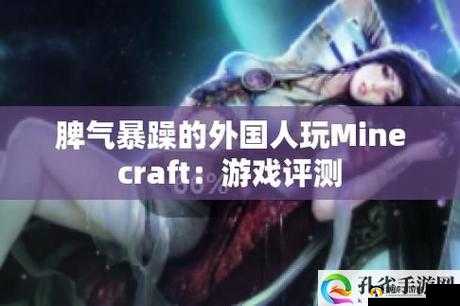 暴躁老外玩Minecraft中国：令人捧腹的游戏冒险之旅
