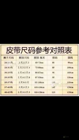 欧洲 LV 尺码大：探究其背后的设计与市场策略