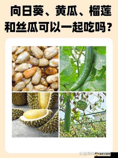 草莓丝瓜榴莲秋葵黄瓜：多种蔬果的奇妙组合与独特魅力