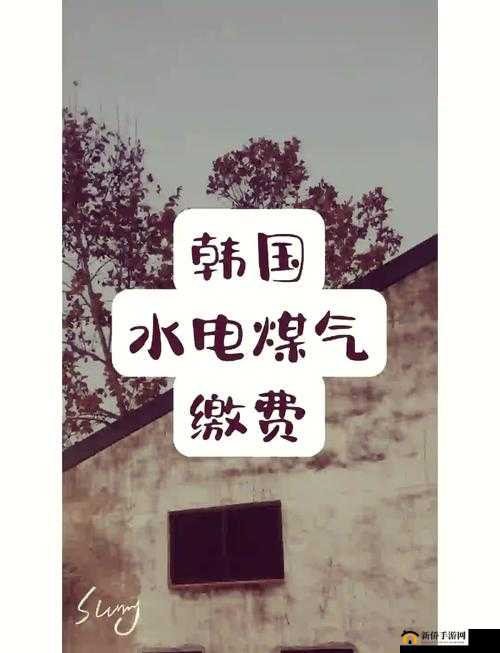 韩国三色电费到底有多好看？