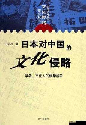 深度剖析日本 A 片：从艺术到文化的别样视角探讨