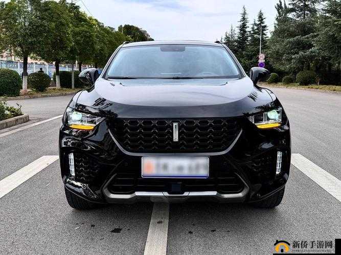 weyvv5 国产的 suv 视频：展现卓越性能与独特魅力之旅