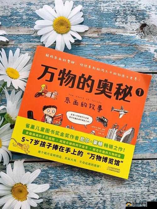 综合插插：探索未知的奇妙世界