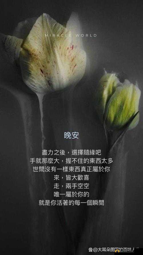天天想你今夜无人入眠：心灵深处的无尽思念与守候