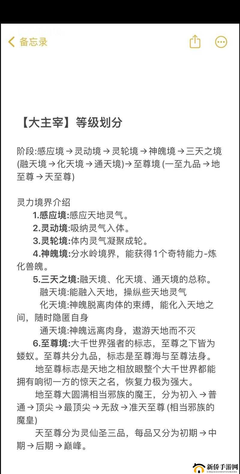 至尊大主宰竞技场系统，全面剖析玩法规则与策略指南