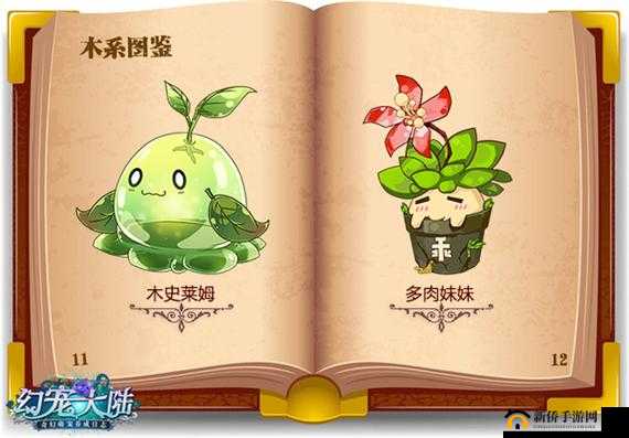 幻宠大陆深度解析，萌宠体系全揭秘，探索六系种族独特魅力