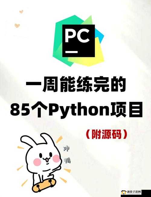 Python 人马大战 CSDN 免费专区：探索编程世界的精彩对决