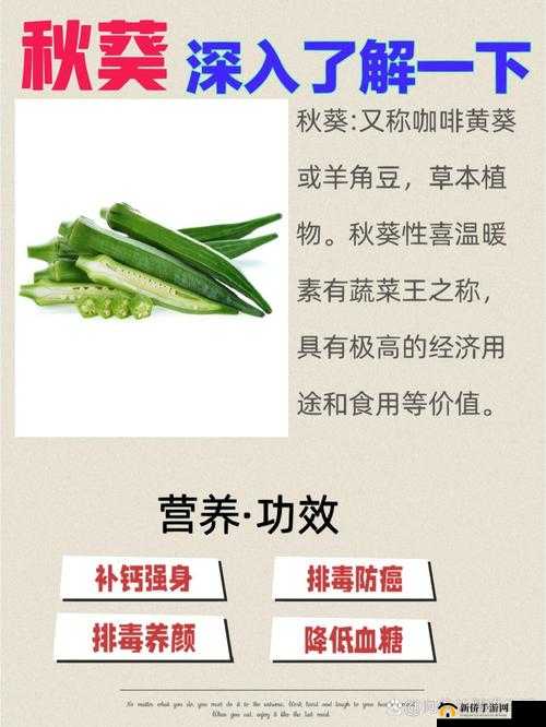 秋葵适合未满十八岁的人吃吗女生：探究其营养价值与适宜性