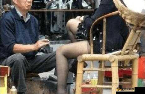 Chinese 搡老女人：当家庭伦理遭遇社会热点