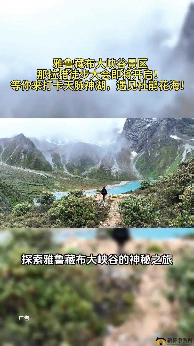 中国windows野外mgdrcc：探索未知的神秘之旅