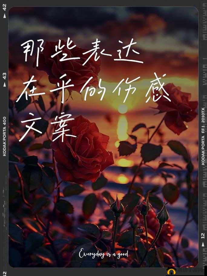 在姨母家的遗憾：那些未曾弥补的往昔岁月与情感缺失