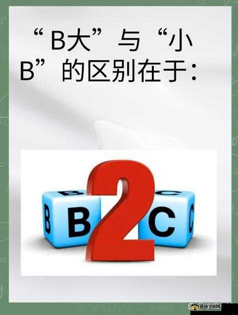 B 大与小的区别：大与小的本质差异及对生活的影响