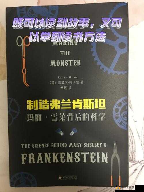 精东影业 404 背后的神秘故事与真相探寻