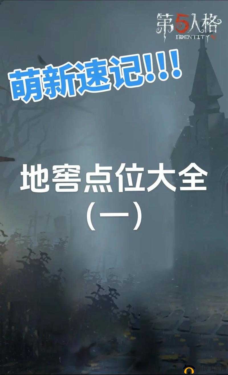 第五人格深度解析，揭秘地窖开启条件，助你轻松实现逃出升天的梦想