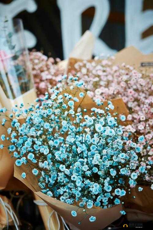 艺术学院满天星法版免费：开启独特艺术之旅