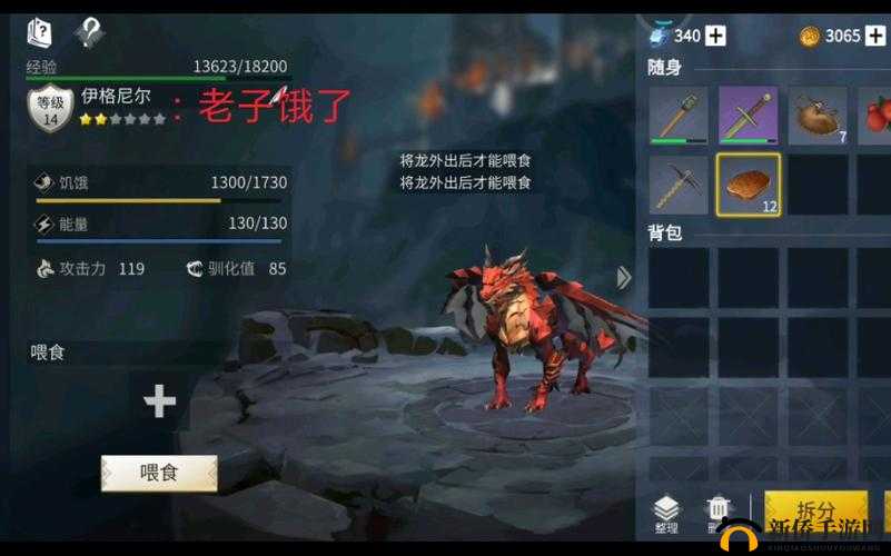 冰原守卫者深度解析，探索黑暗龙升级所需材料的神秘路径