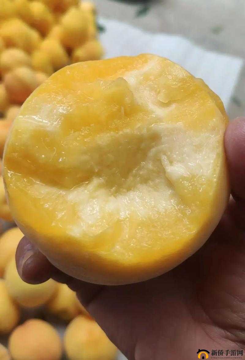 9612 黄桃亚洲品质在线观看：独特精彩不容错过