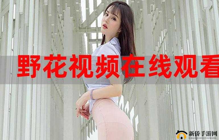 草莓视频apk下载在线：畅享精彩影视的便捷之选