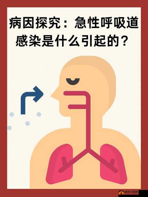 人马畜禽共性关系的重要性视频：深入探究其深远意义与影响