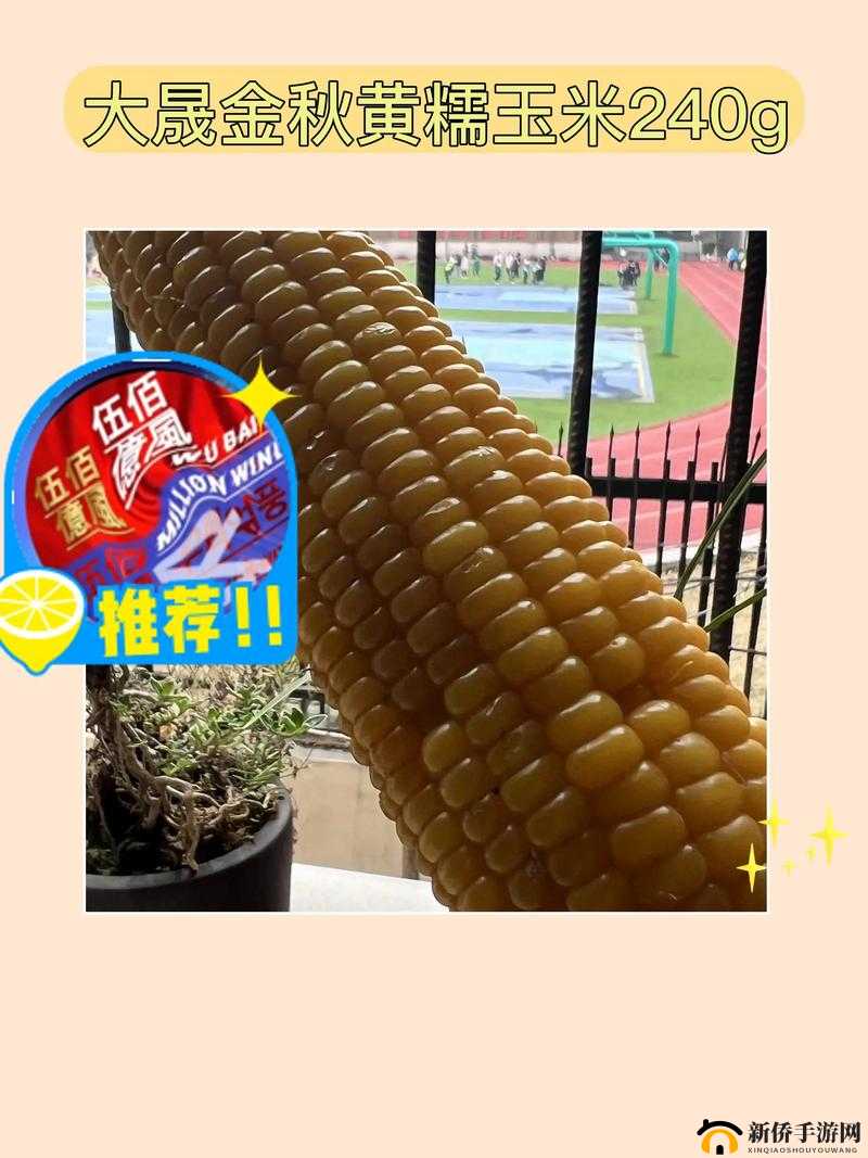 玉米的奇妙旅程，探索从田间种植到餐桌美味的创造与魔法之旅