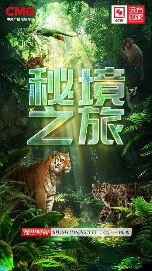 神秘 5 线路：探寻未知世界的奇幻冒险之旅