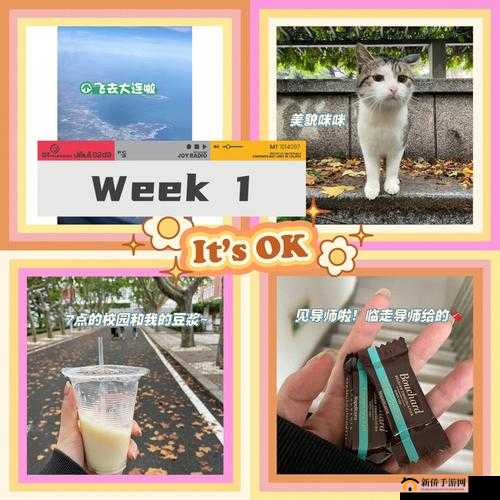 咪咪一区：这里有着独特的魅力与精彩的故事等待你去探索