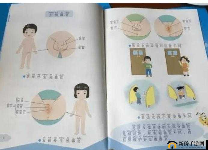 ：性教育视频：娜娜操人人操，正确引导性行为
