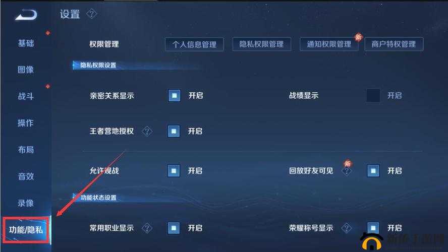 王者荣耀皮肤共享功能全面解析，使用规则、限制条件及共享体验详解