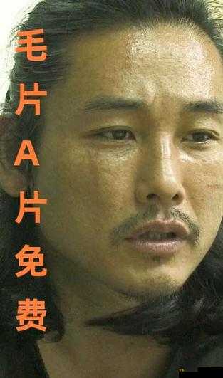A 片毛片 AAABBB 精品：成年人的私密世界