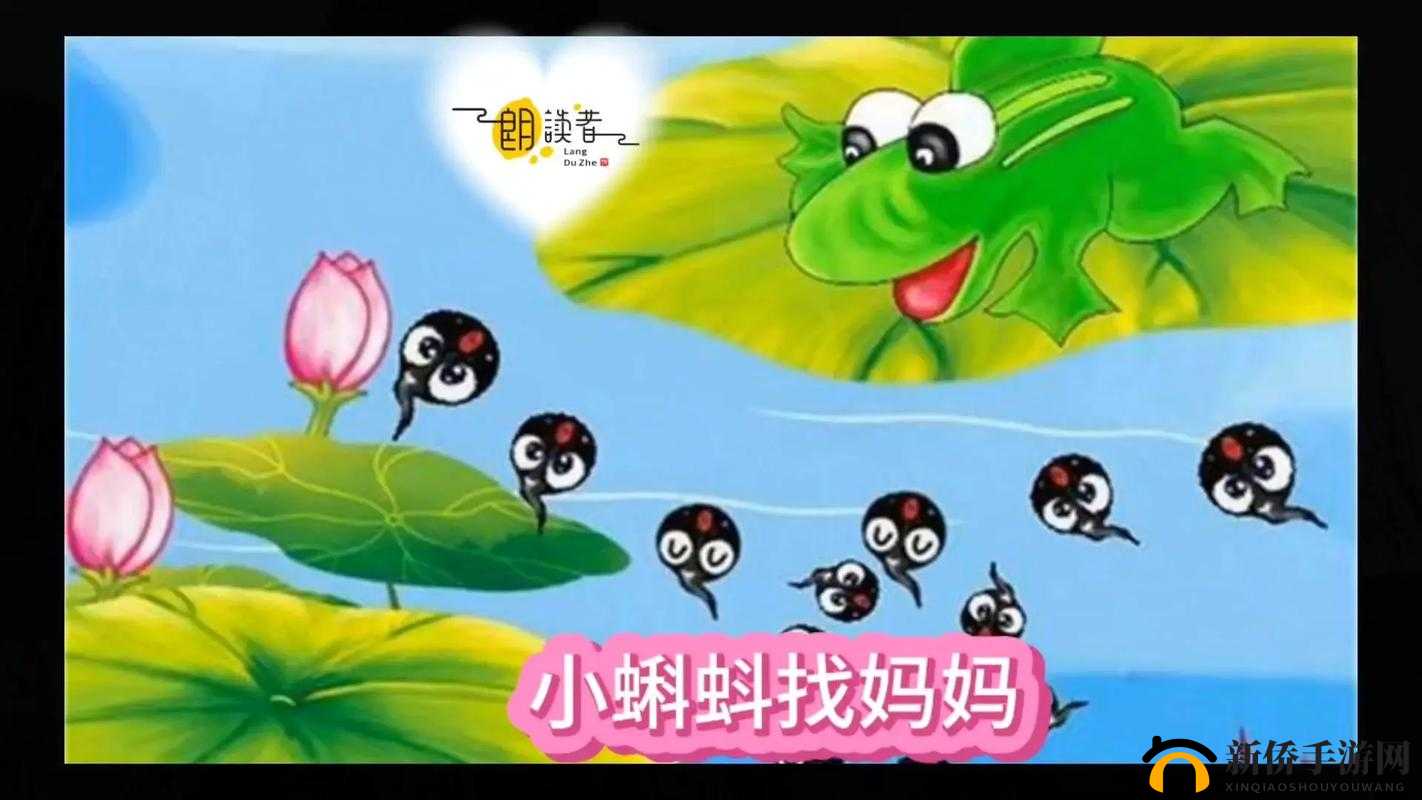 窝蝌蚪——那独特的释放蝌蚪的神奇之地