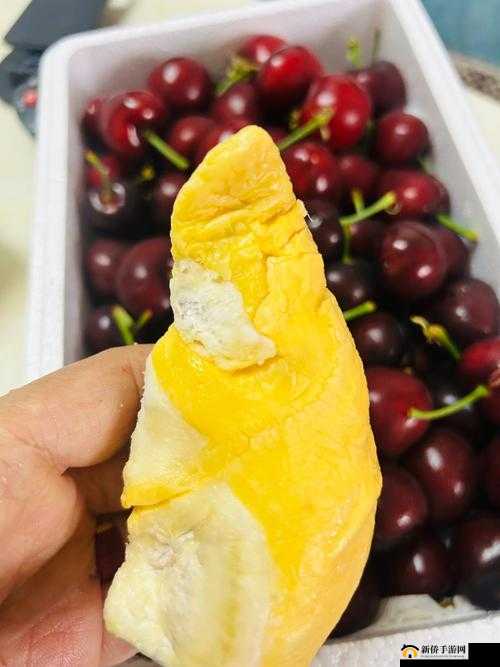 香蕉、丝瓜、草莓、樱桃、草莓、榴莲的奇妙组合与美味探索
