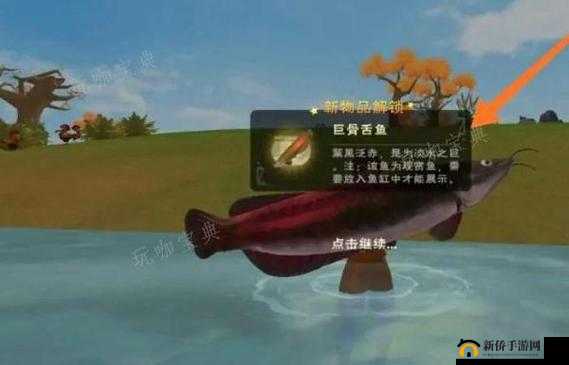 创造与魔法游戏中在仙女河钓鲅鱼，资源管理技巧、避免浪费策略及价值最大化指南