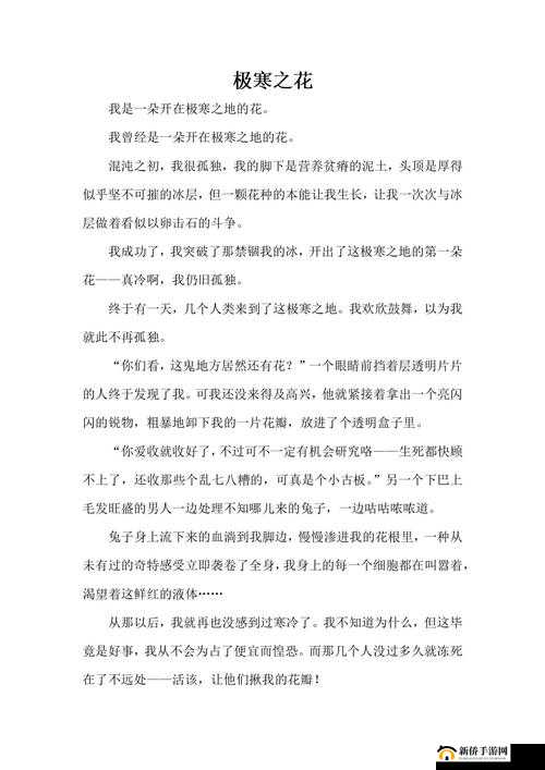 揭秘蛛丝布的独特奥秘及其在冰原守卫者中的多样化应用