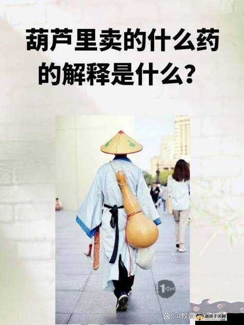 葫芦里面不卖药免费版电视剧：独特剧情引人入胜