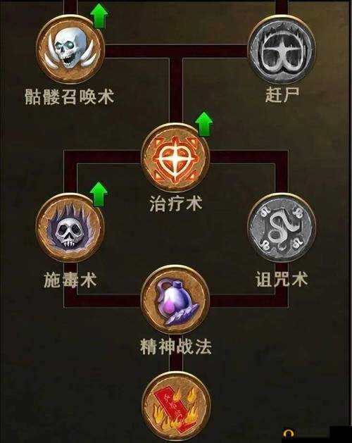 传奇世界道士深度攻略，全面解析施毒流玩法的实战技巧