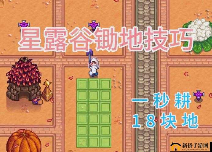 星露谷克林特生日当天在哪：探索神秘的庆祝之地