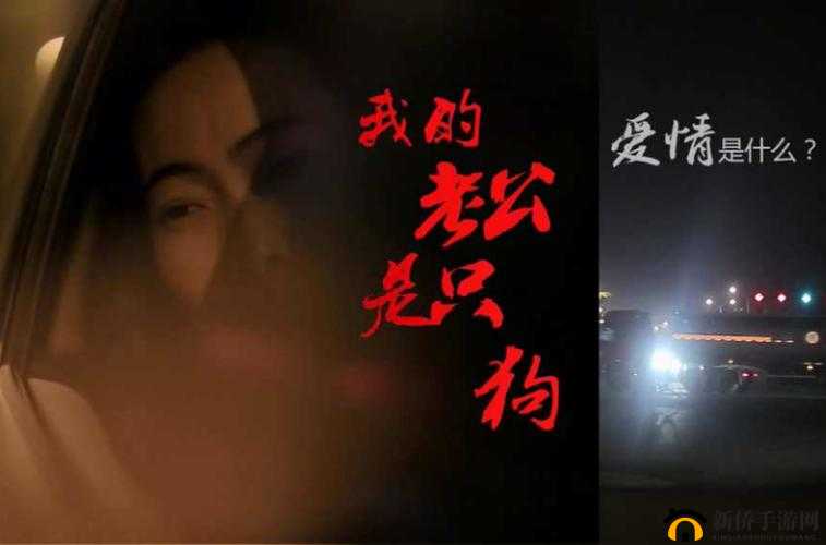 我的老公是条狗白珍丽山本一郎：他们之间的故事令人唏嘘