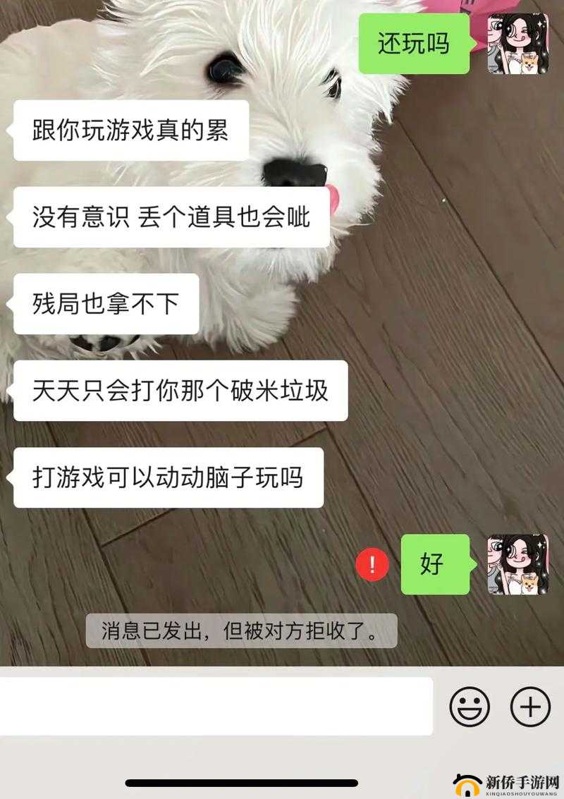 暴躁老姐的 CSGO 心得分享视频：实战技巧与心态调整秘籍