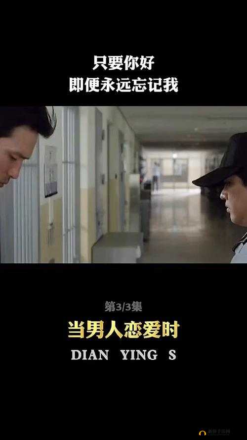 成年人的爱情故事：zw 时看的文案