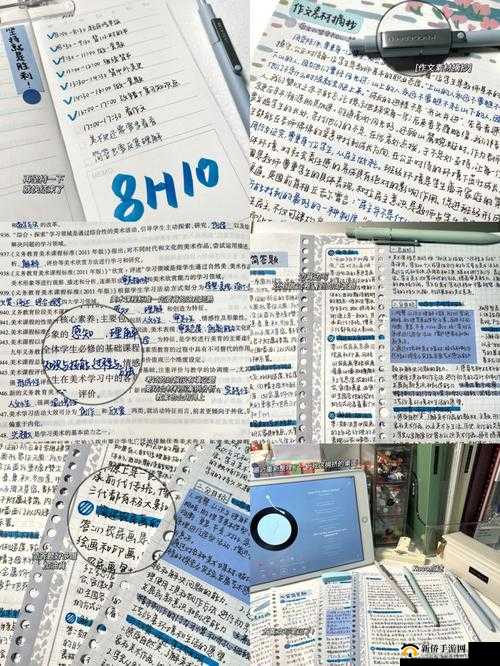 错一题下面查一支笔啊哈：令人深思的独特规定