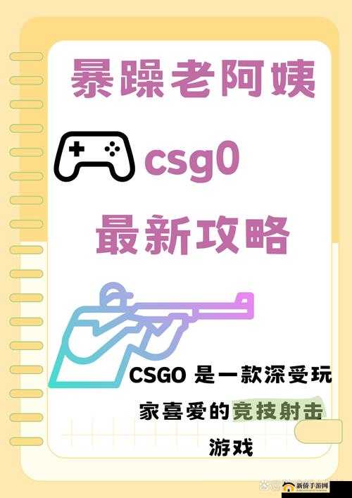 暴躁老阿姨 csgo 新手技巧：超实用的入门必备指南