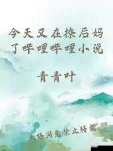 今天又在撩后妈了哔哩哔哩小说：一段禁忌情感的精彩呈现
