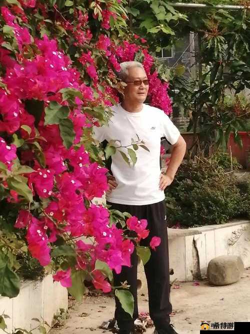 老刘头的幸福晚年中张倩倩的故事背景与人物发展探析