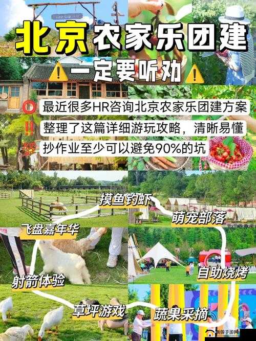 我的农家乐，探索田园牧歌，解锁2025蛇年春节前特色休闲新玩法