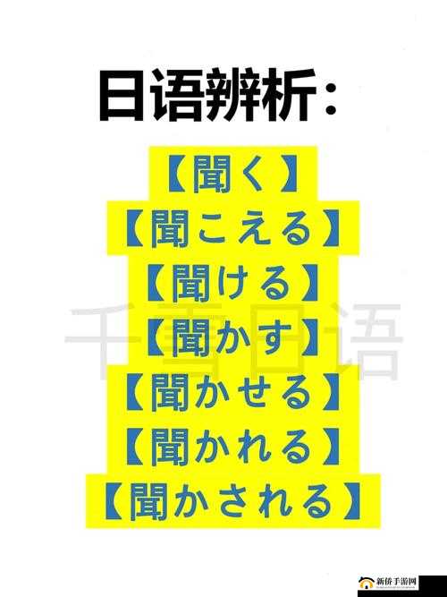 ずぜじそずそちがご相关内容详细探讨与分析