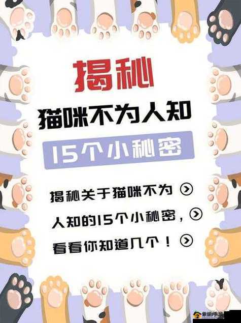 暗黑爆料免费，你绝对想不到的秘密