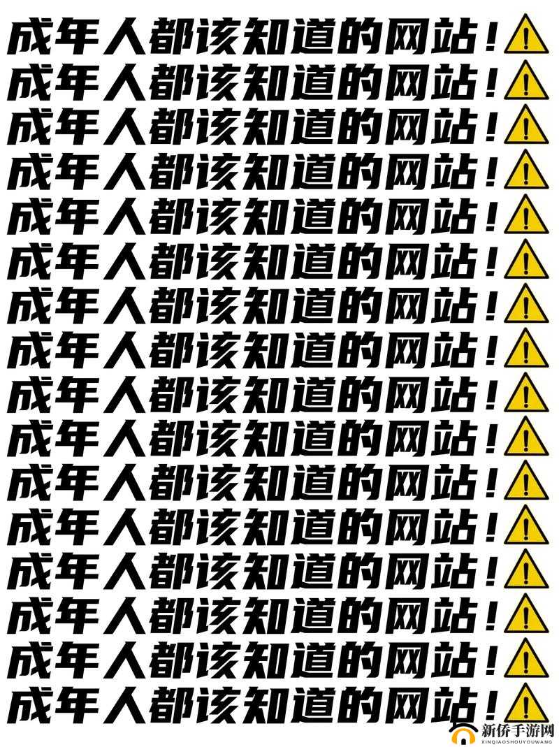 有没有 h 的网站相关内容及延伸探讨