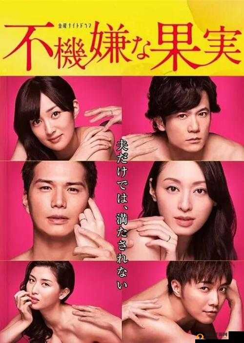 三年片免费大全国语版评价怎么写之全面剖析