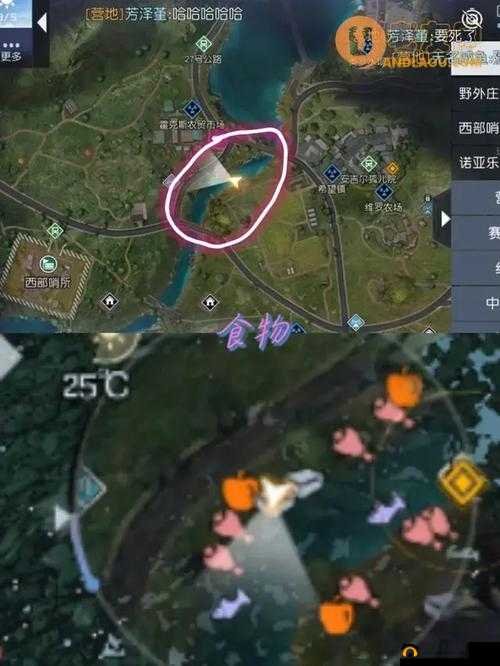 黎明觉醒游戏攻略，中部平原资源全面分享及详细位置解析
