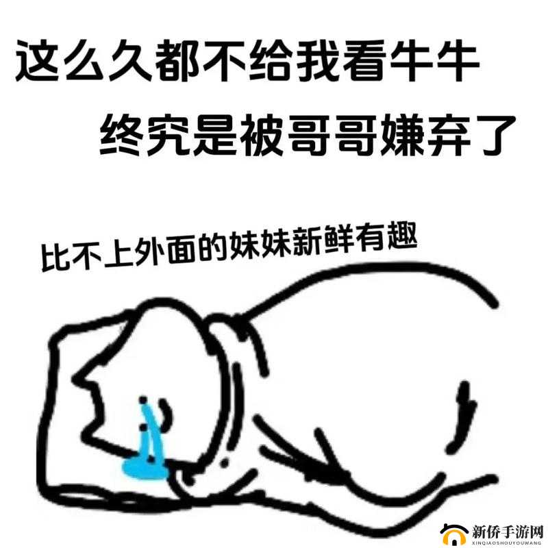 探索色色研究所背后的神秘与趣味